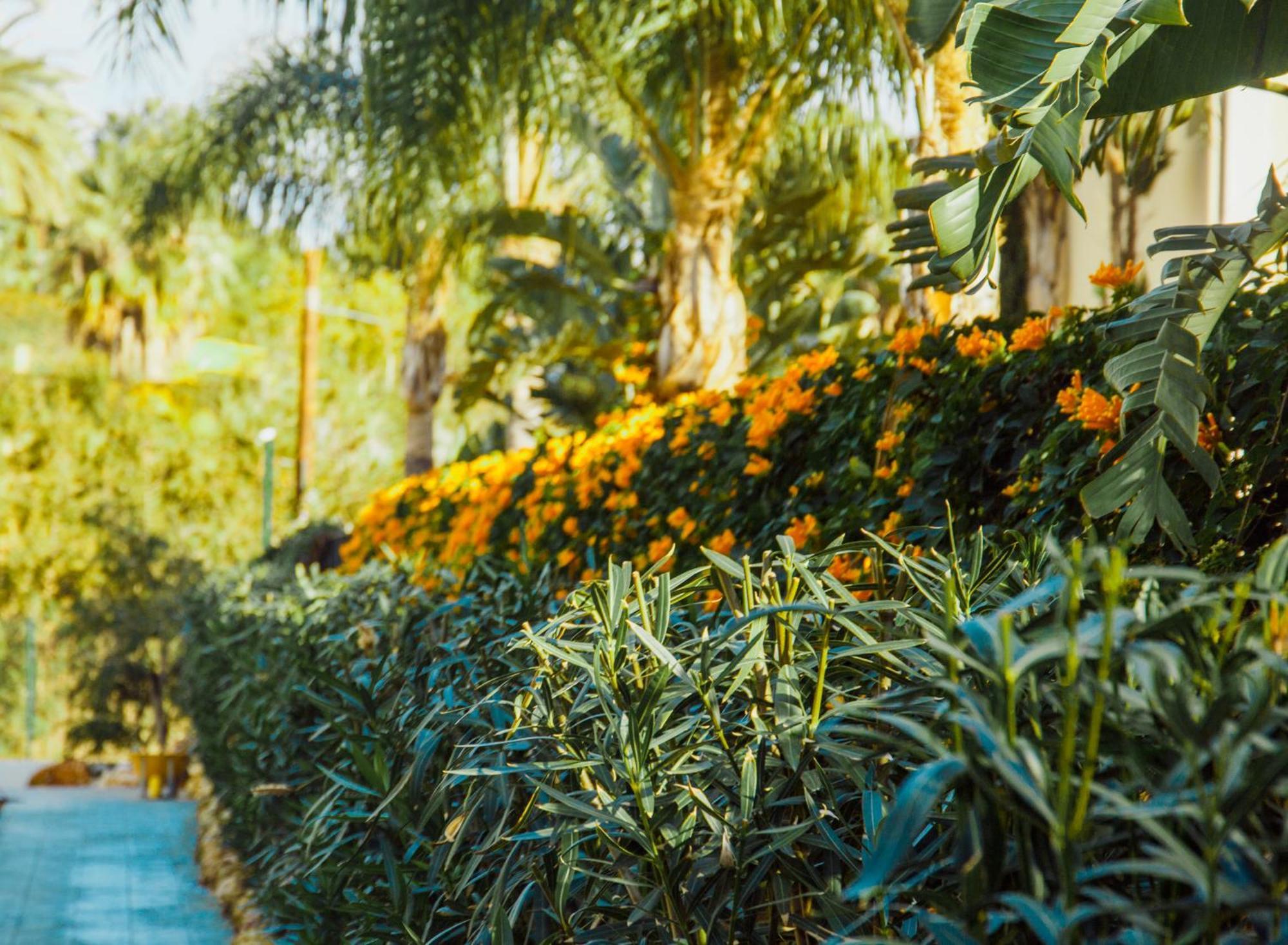Sierra Blanca Resort Art Of Healing Marbella Kültér fotó